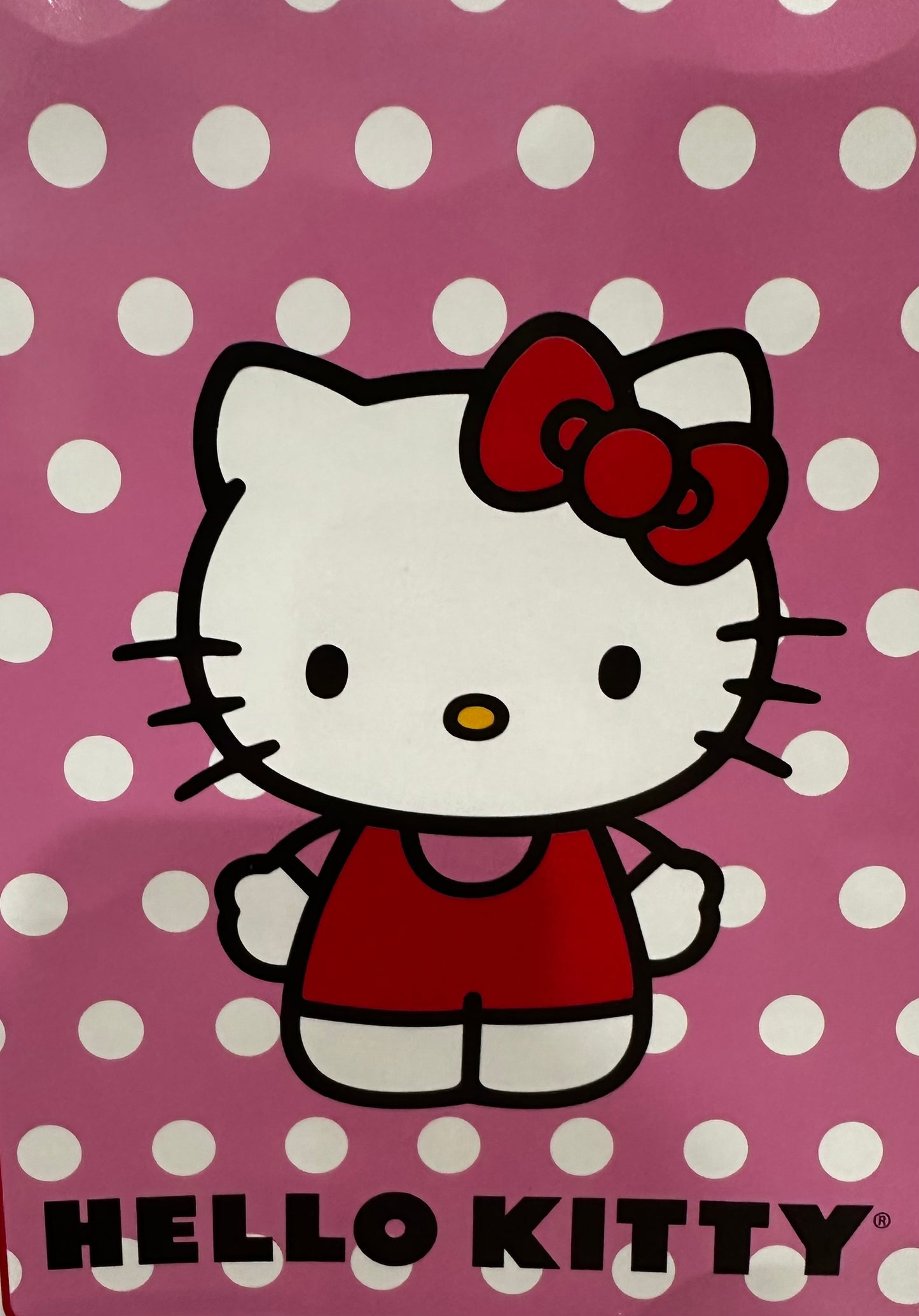 Classic Hello Kitty Polka Dots Twin 60"x80" Plush Blanket Extra Soft