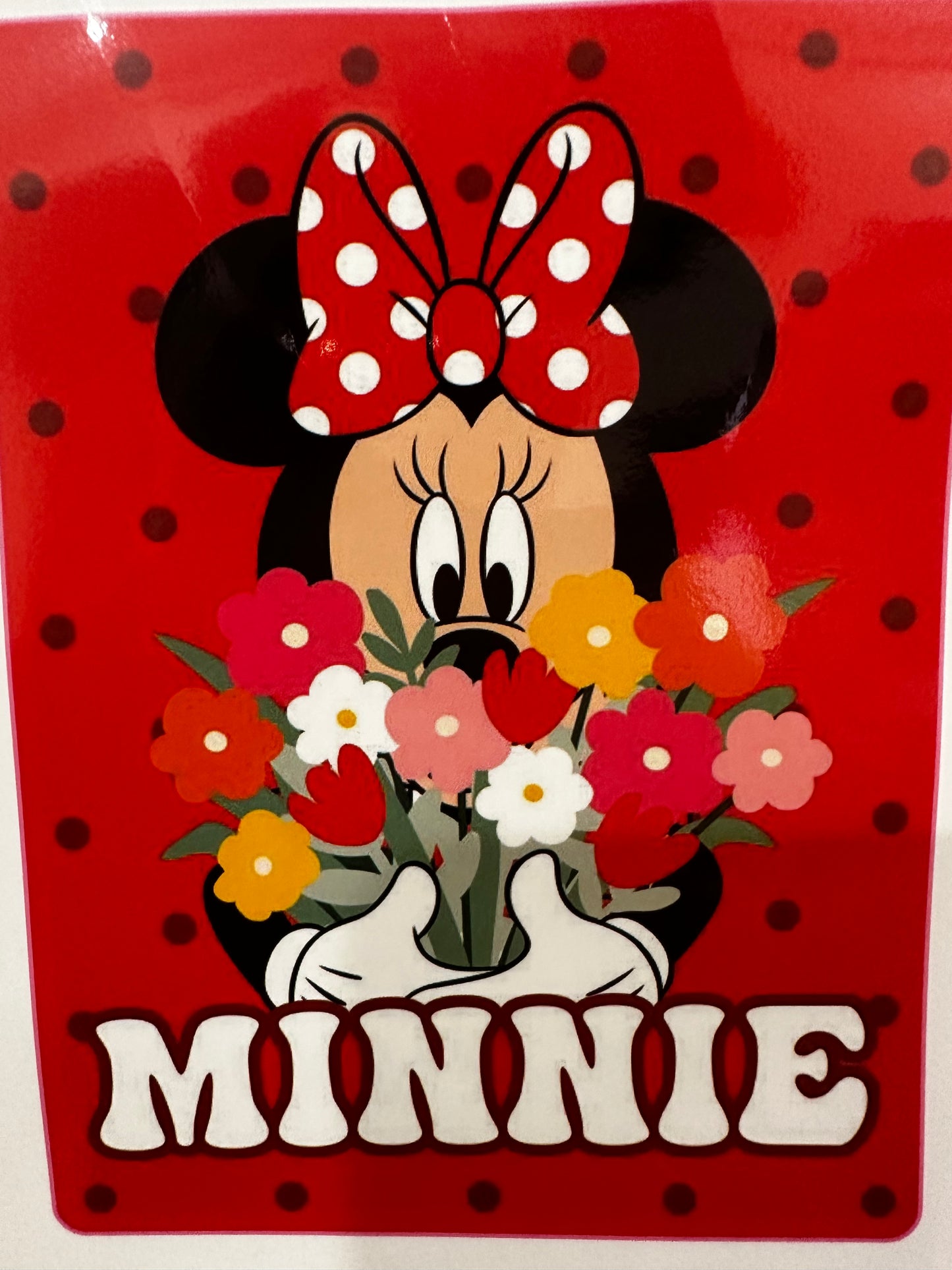 Minnie Mouse Flower Icon Twin Sized 60"x80" Plush Raschel Blanket
