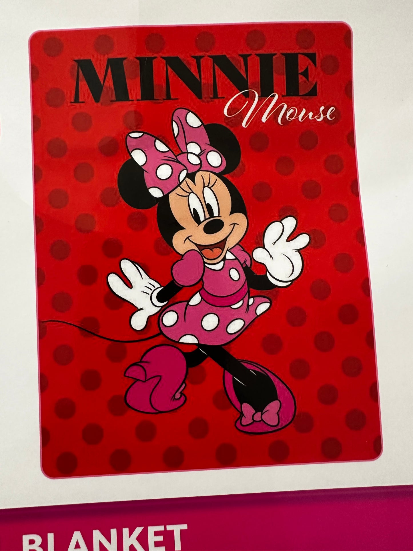 Simply Minnie Mouse Extra Soft Plush 60"x80" Twin Size Blanket