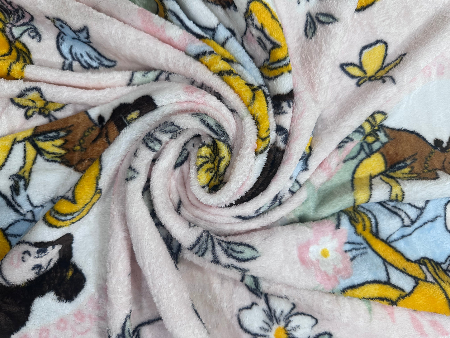 Disney Princess Soft Silky Touch Fleece Throw Blanket 40"x50" BB