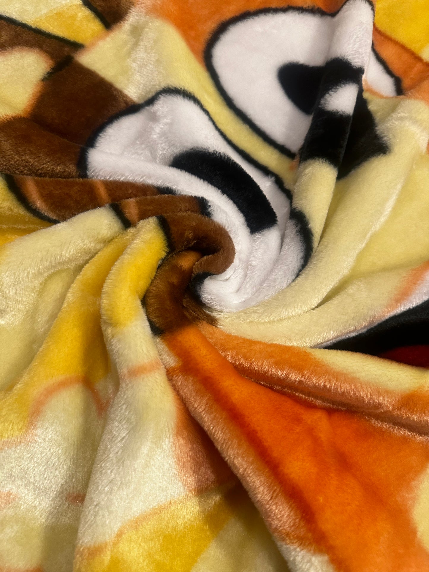 Bluey Family Play Twin Plush Blanket Super Soft