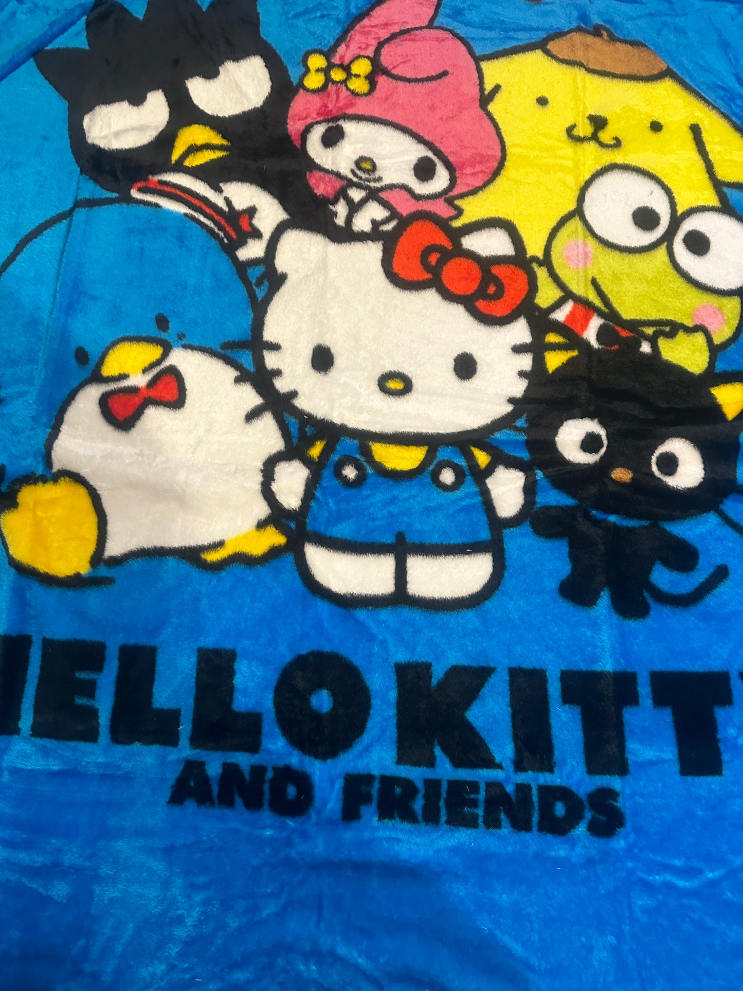 Hello Kitty & Friends Extra Soft Plush 60"x80" Twin Size Blanket "Friends Smile"