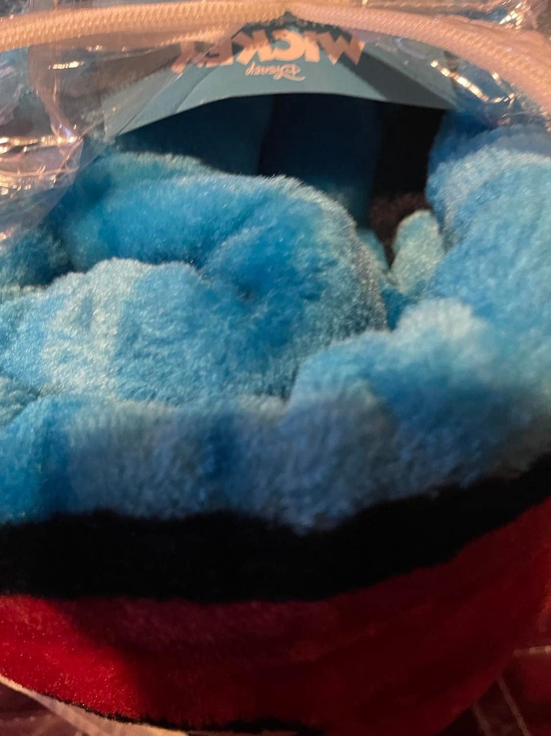 Mickey Mouse Twin Raschel Plush Blanket 60"x80" TW