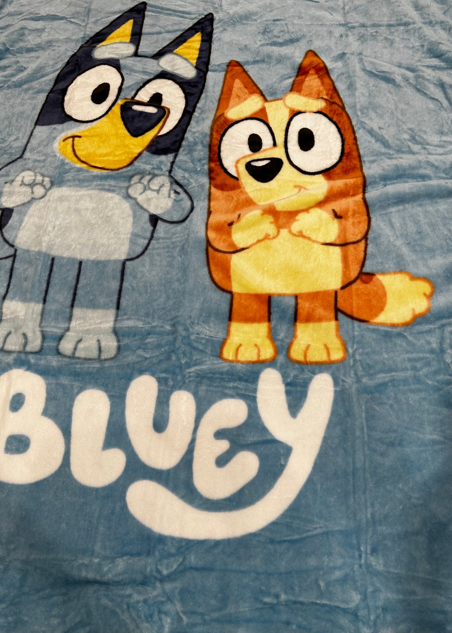 Bluey Super Soft Twin Full Plush Blanket 60"x80" Kids Bedding