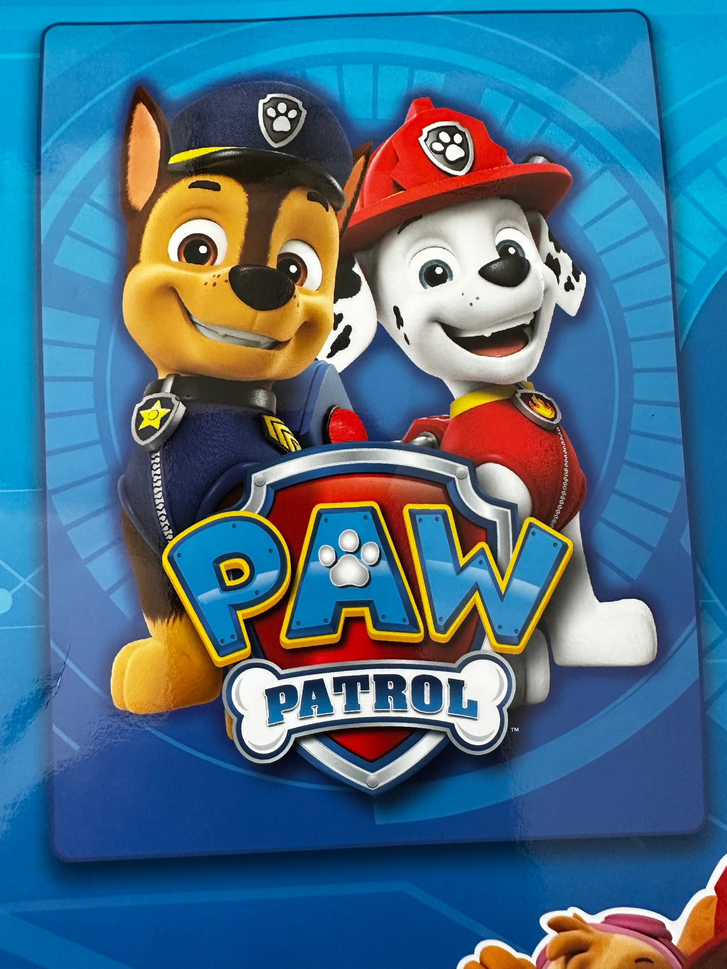 Northwest Paw Patrol  60"x80" Size Twin Plush Raschel Blanket