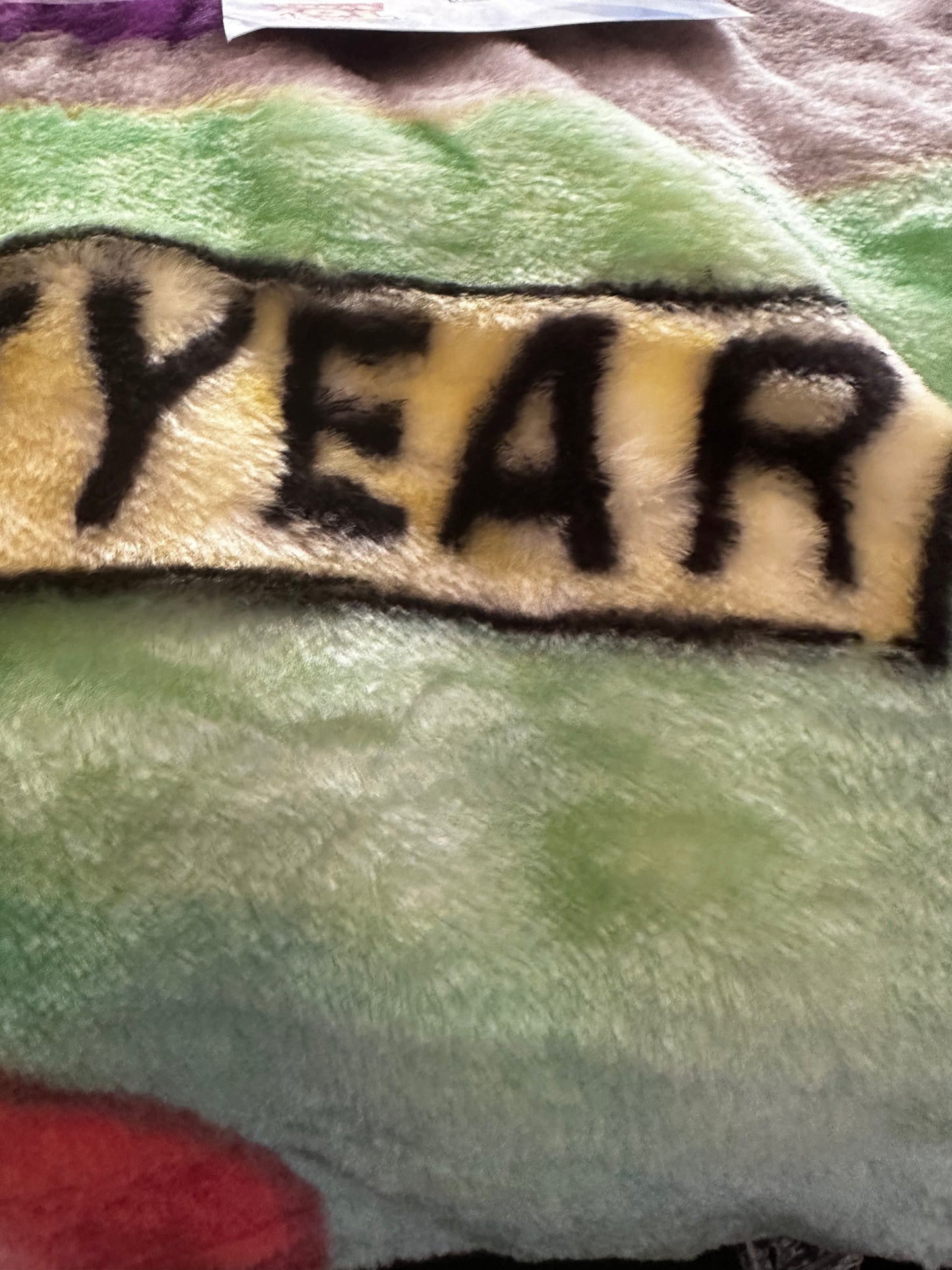 Classic Toy Story Friends Extra Soft Plush 60"x80" Twin Size Blanket