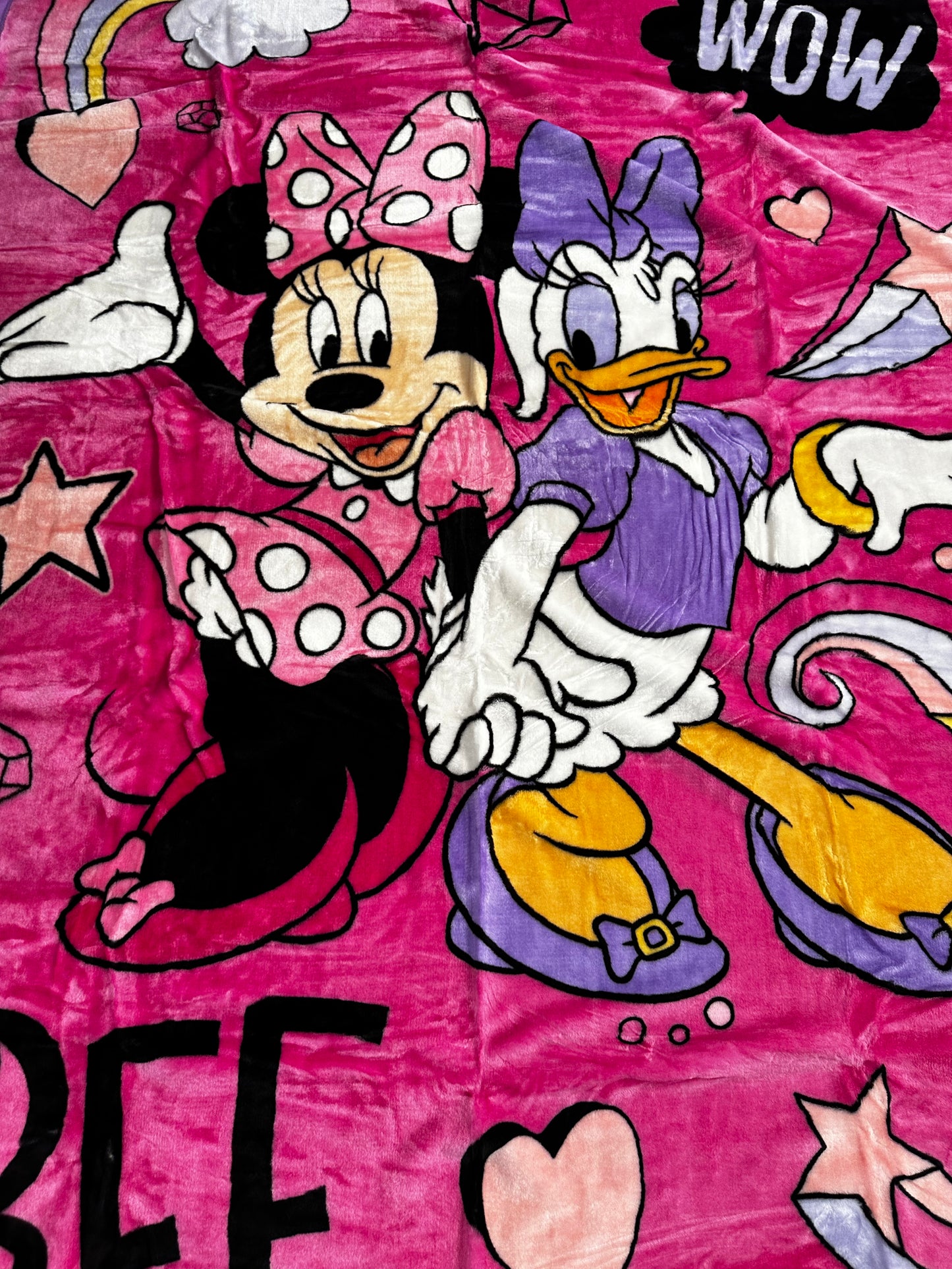 Minnie & Daisy BFF Super Soft Twin Size Plush Blanket 60"x80"