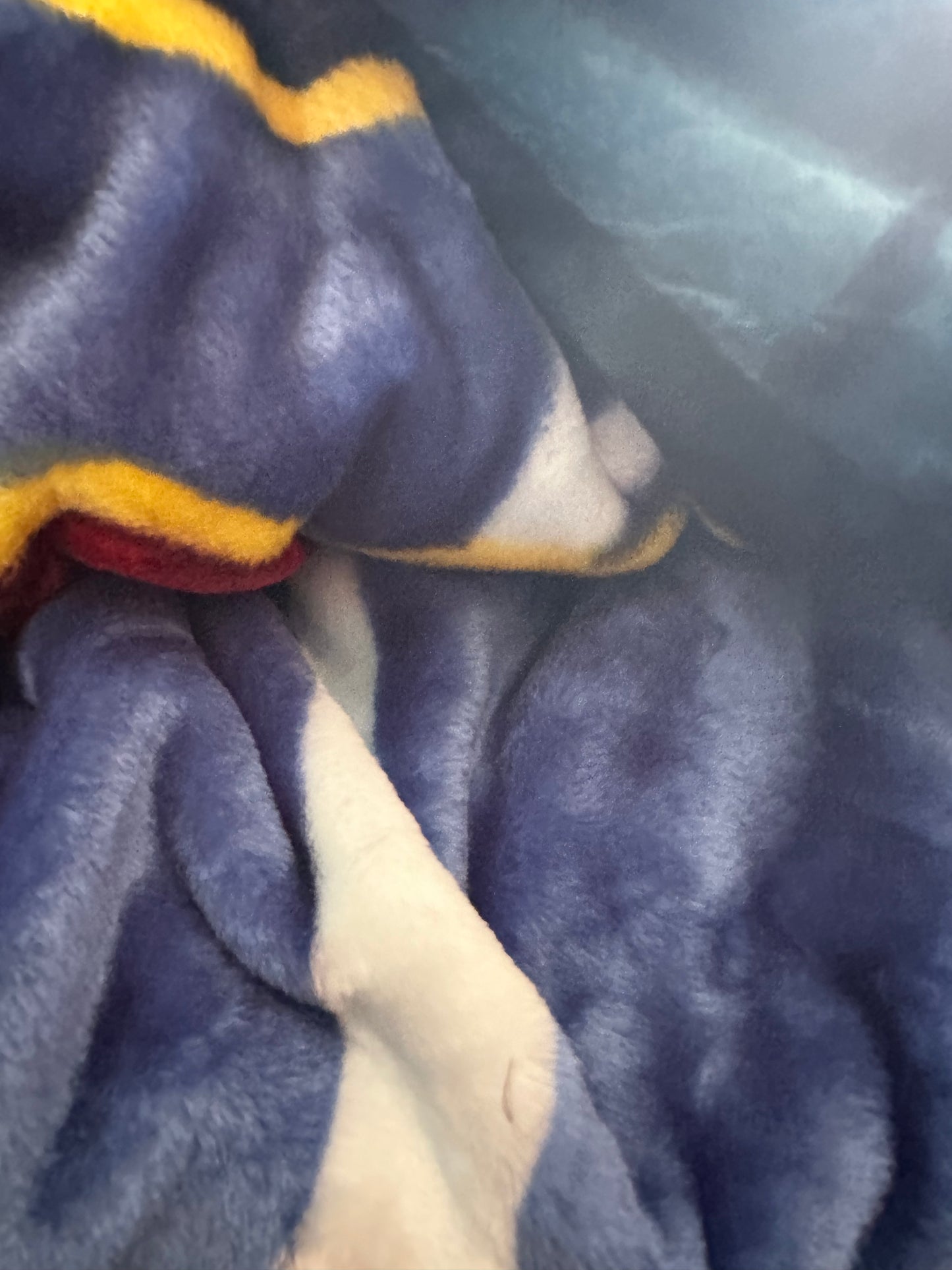 Marvel Spiderman Webbed Wonder 60"x80" Size Twin Plush Raschel Blanket