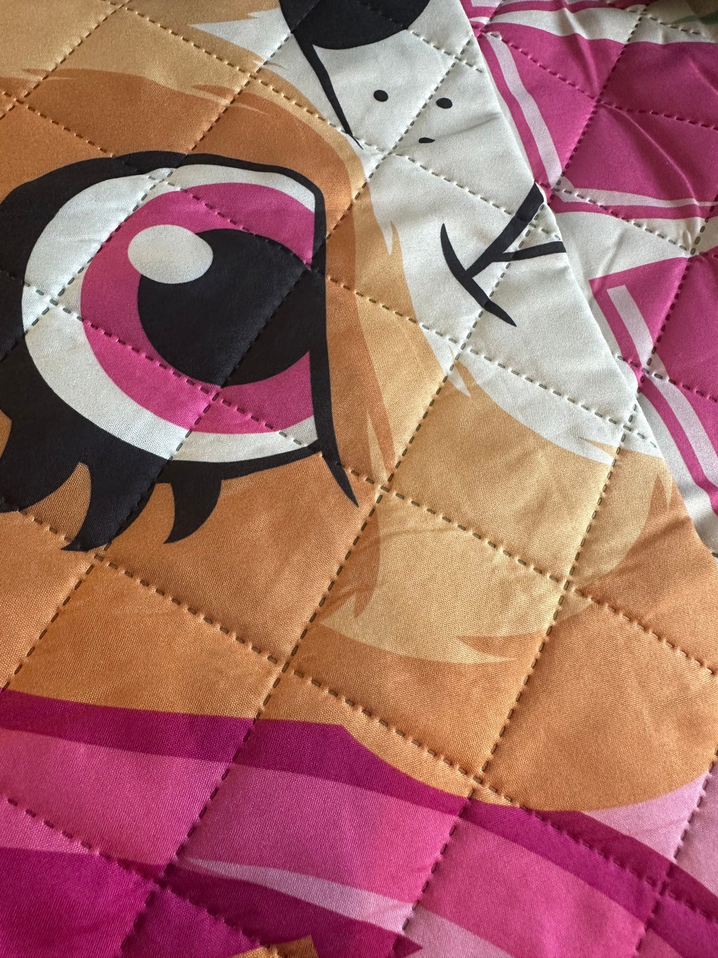 Paw Patrol Skye Twin Quilted Bedspread Only