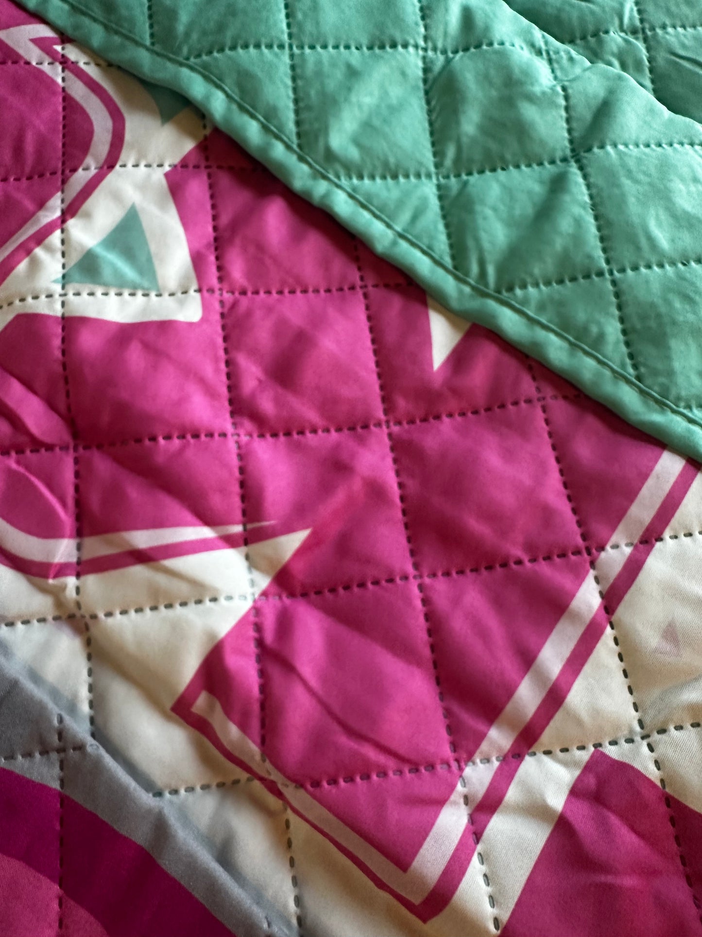 Paw Patrol Skye Twin Quilted Bedspread Only