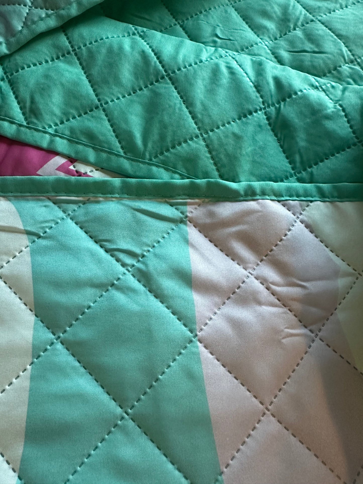 Paw Patrol Skye Twin Quilted Bedspread Only