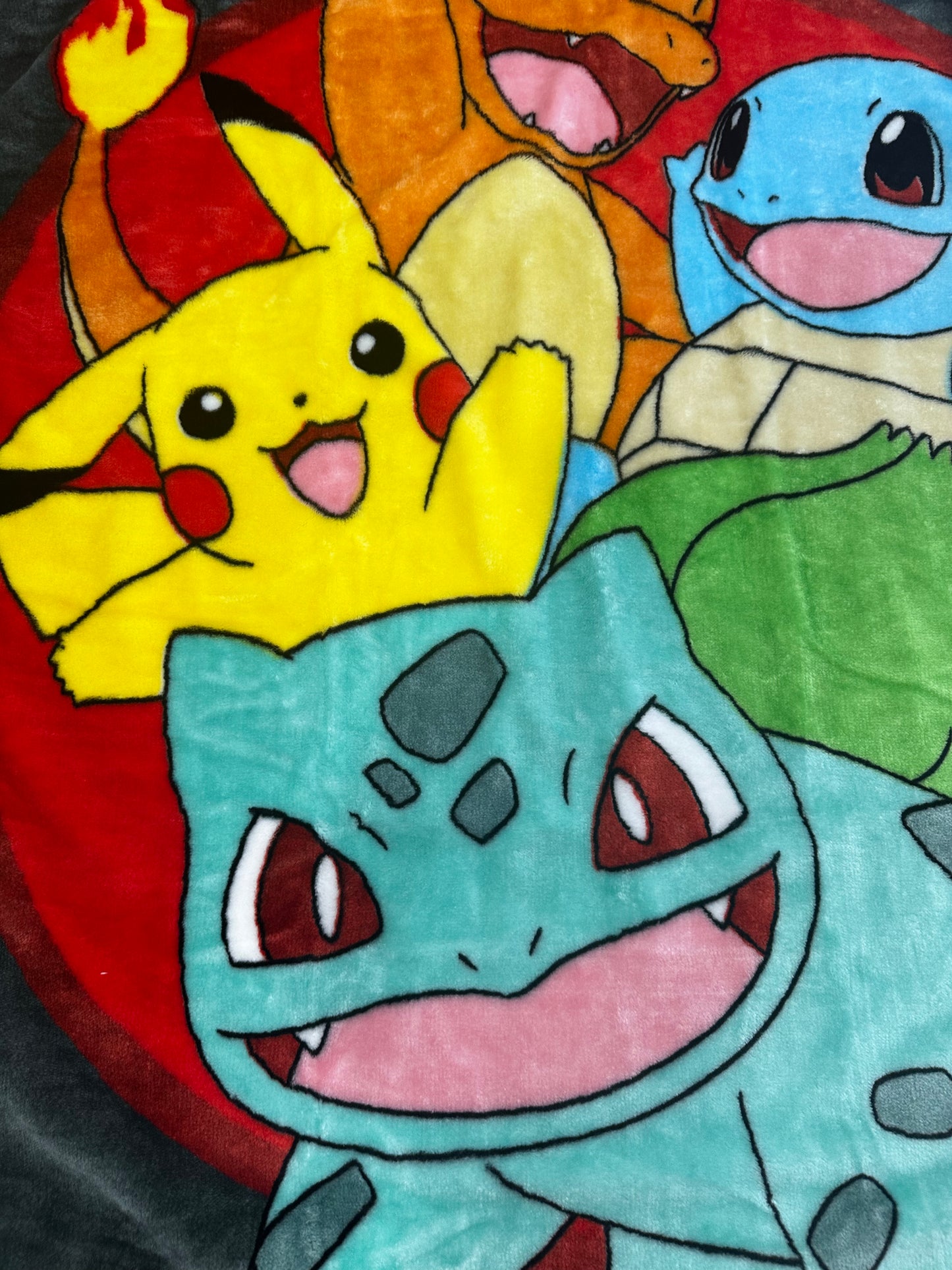 Pokemon Pokemon Bunch" 60"x80" Twin Plush Blanket TW