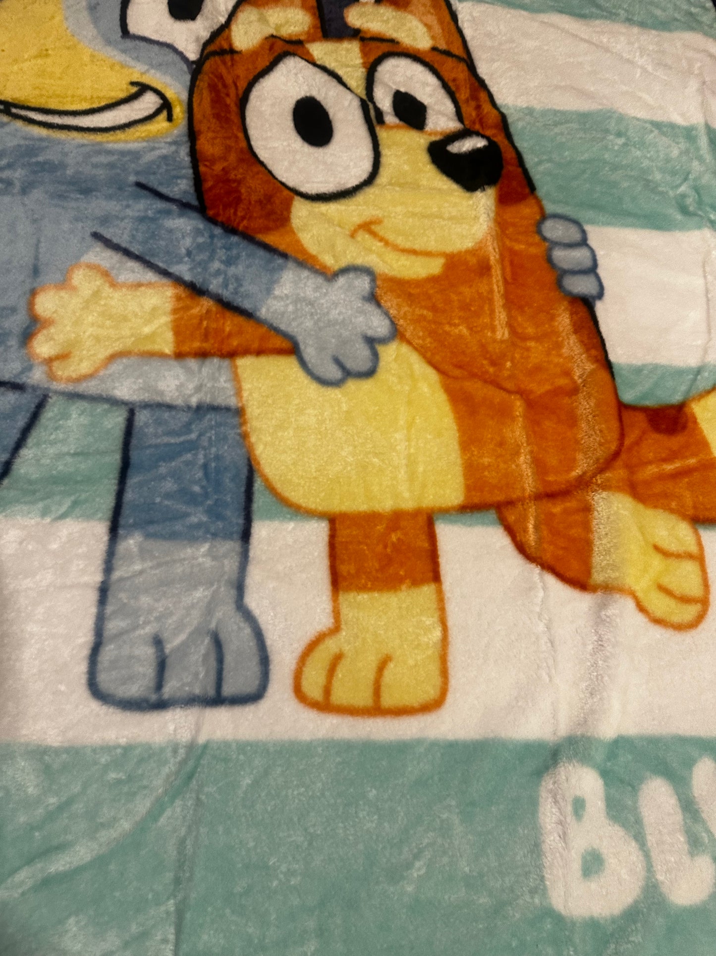 Bluey And Bingo Twin Plush Blanket Super Soft "Hugs"