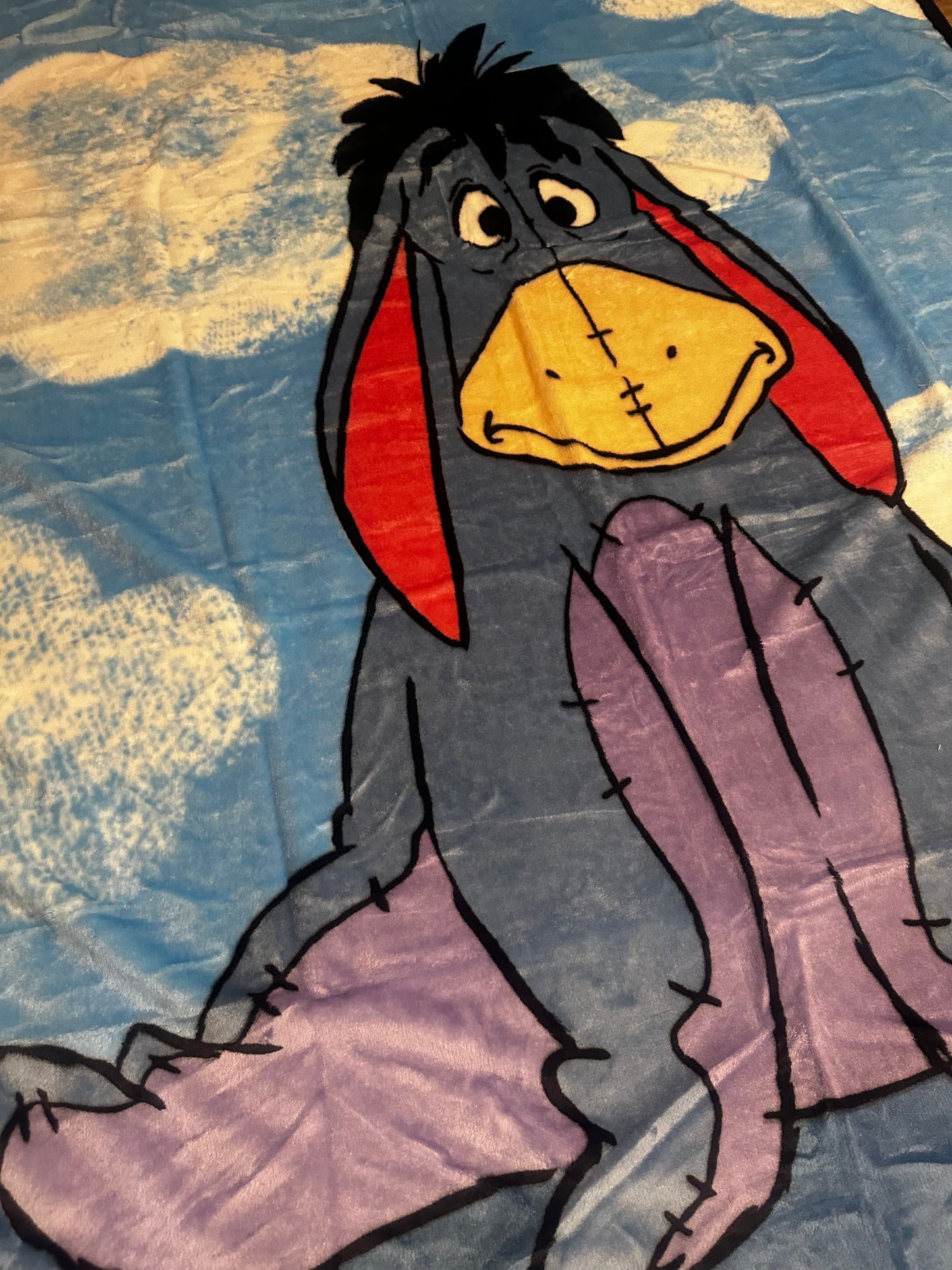 Winnie The Pooh's Eeyore Twin Plush Blanket Super Soft "Eeyore Clouds"
