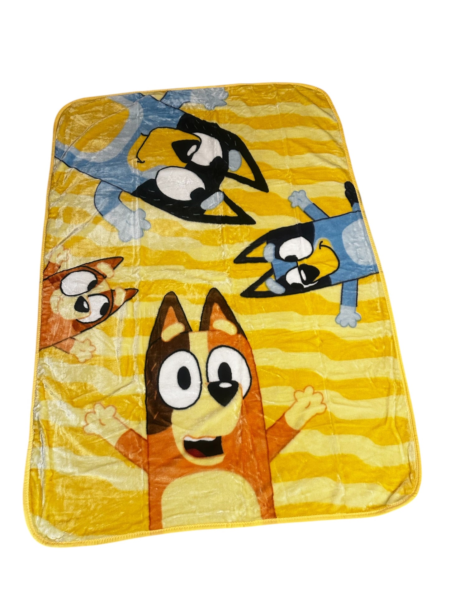 Bluey Family Play Twin Plush Blanket Super Soft