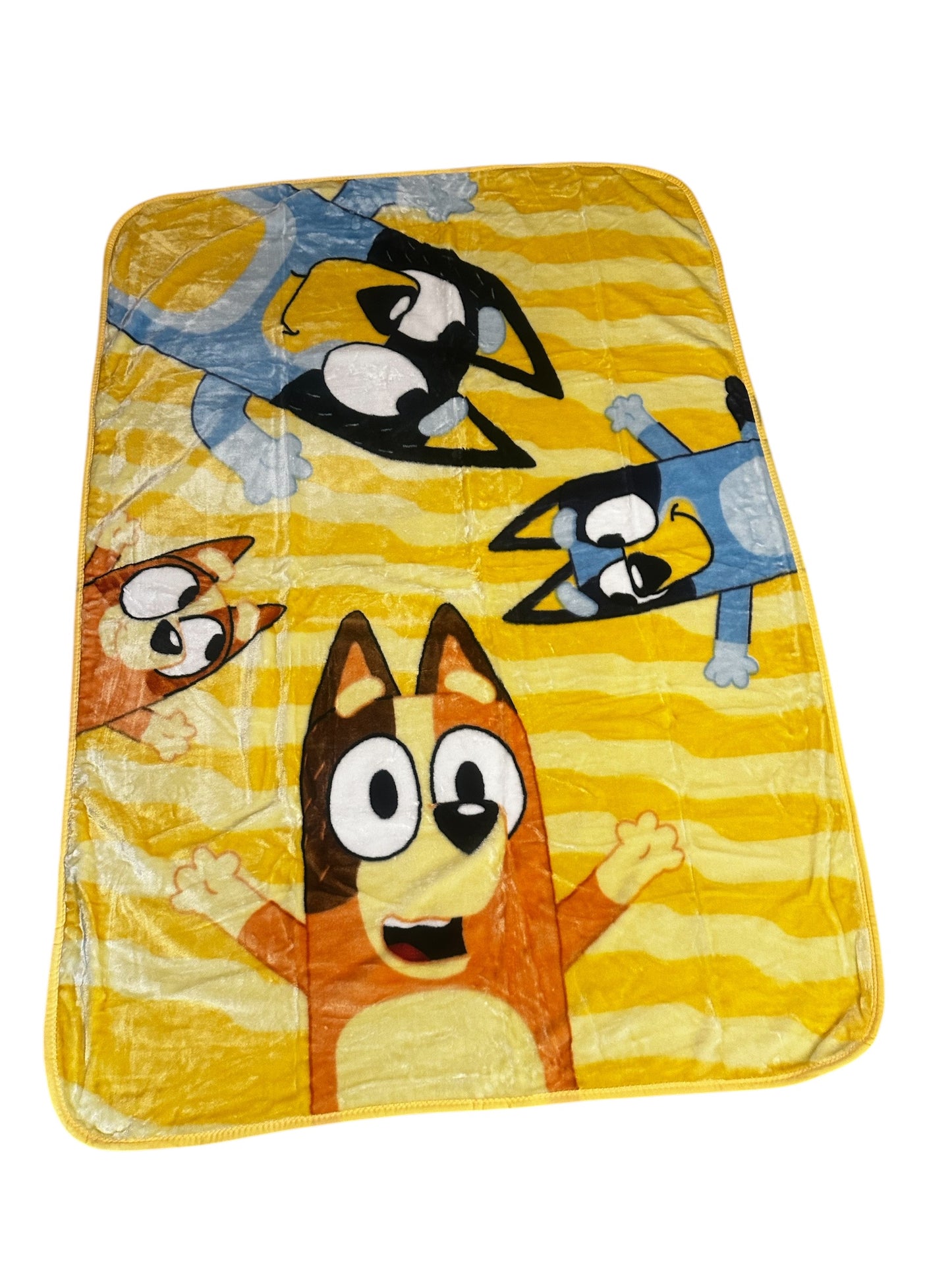 Bluey Family Play Twin Plush Blanket Super Soft