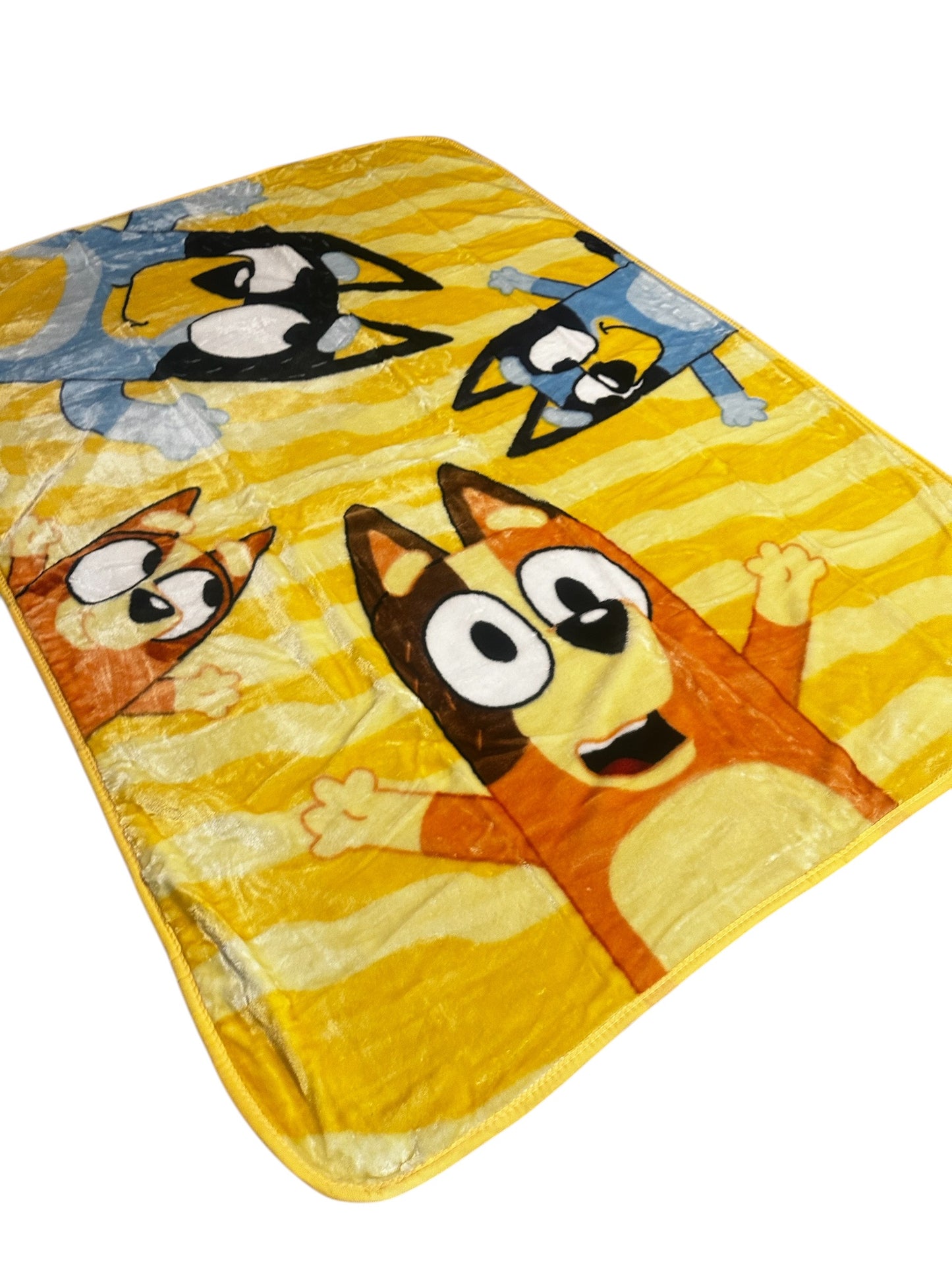 Bluey Family Play Twin Plush Blanket Super Soft