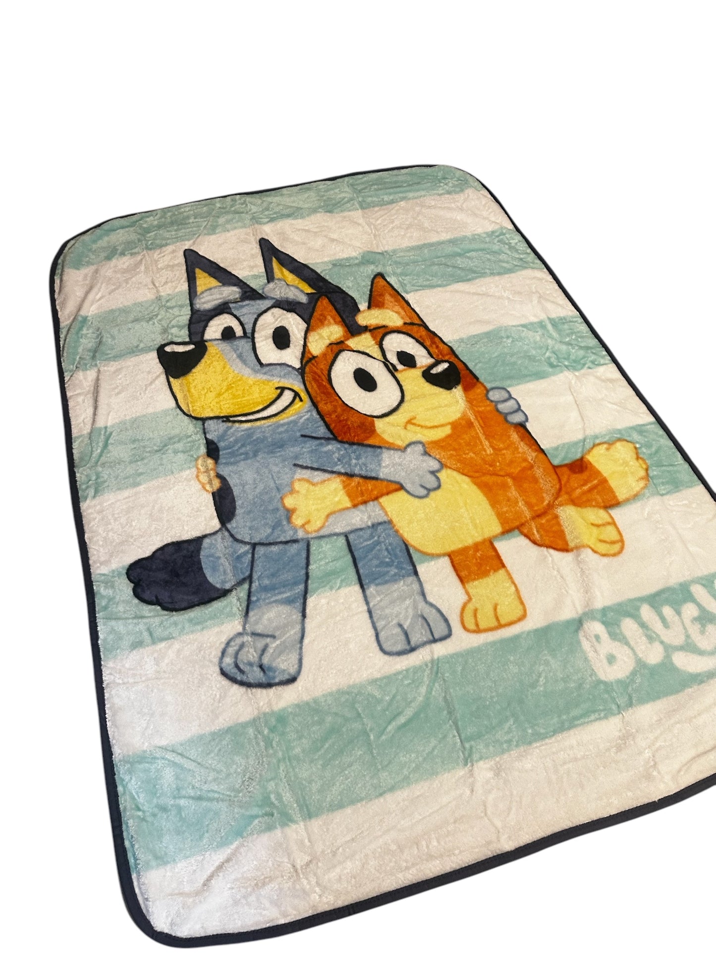 Bluey And Bingo Twin Plush Blanket Super Soft "Hugs"