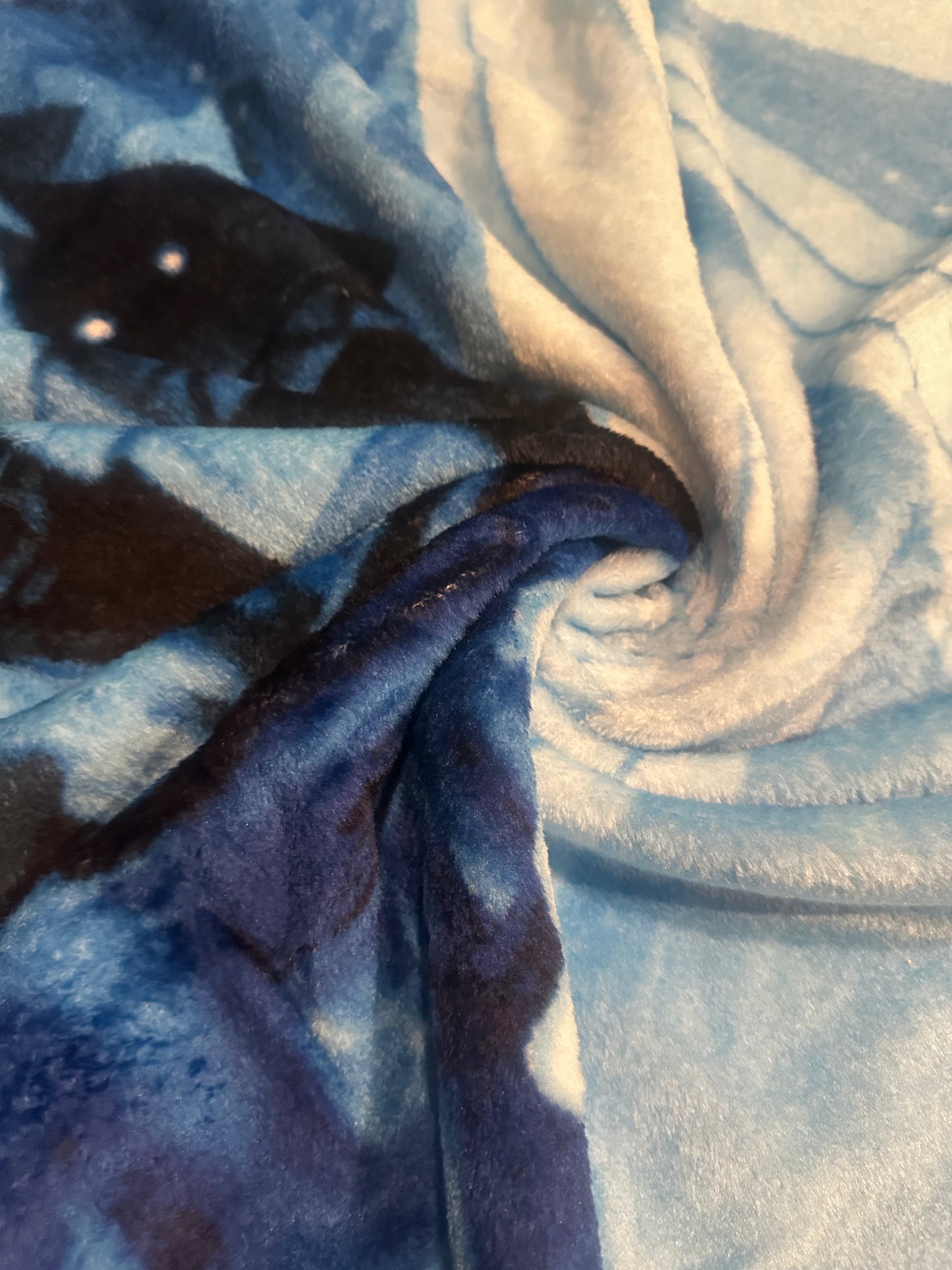 Disney Princess Cinderella Soft Plush 60"x80" Twin Size Blanket "Aim for Your Dreams"