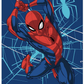 Marvel Spiderman City Swing 60"x80" Size Twin Plush Raschel Blanket