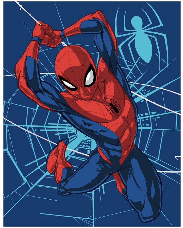 Marvel Spiderman City Swing 60"x80" Size Twin Plush Raschel Blanket