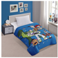 Toy Story Twin Quilted Bedspread Only "Playground Stars"