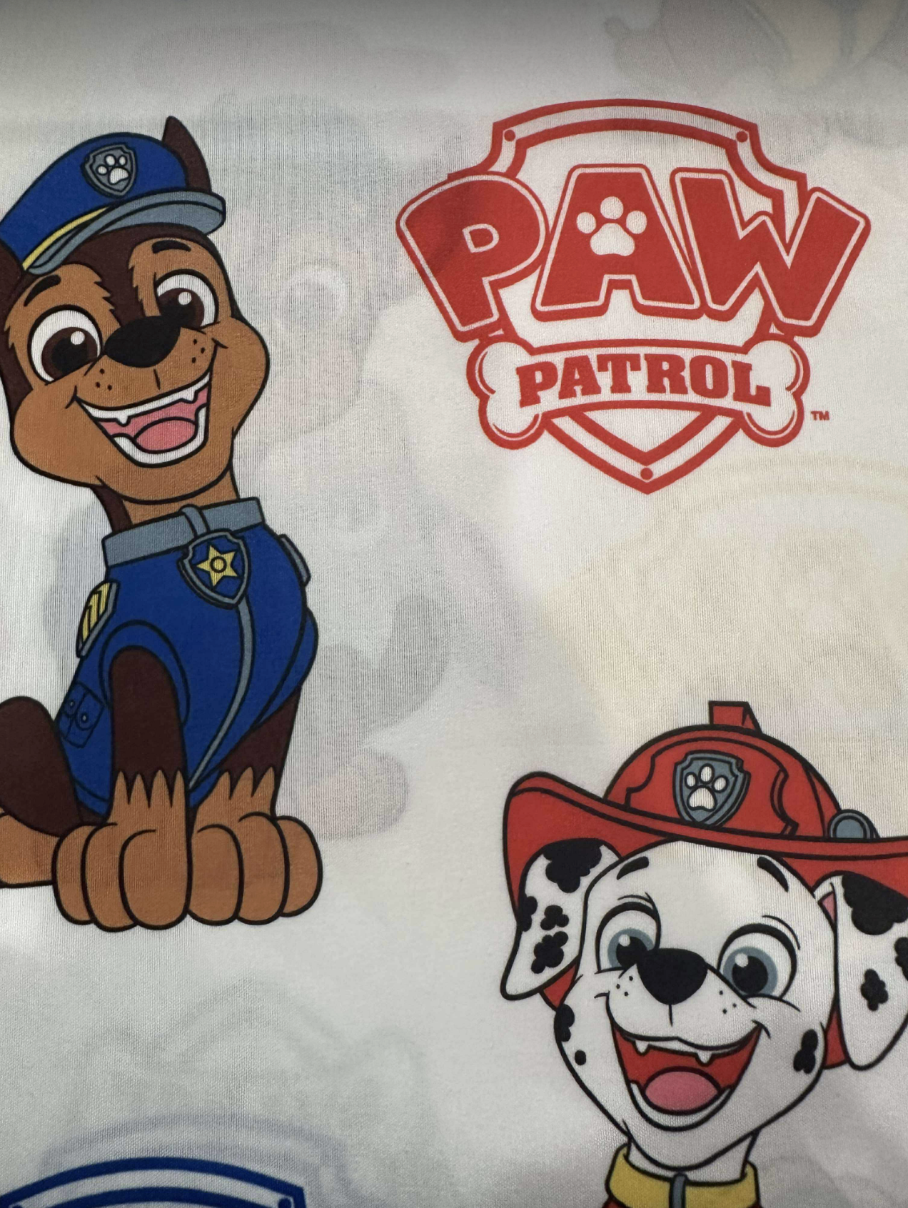 Paw Patrol Twin Size Sheet Set 3 Pieces Kids Set  "Best Boys"