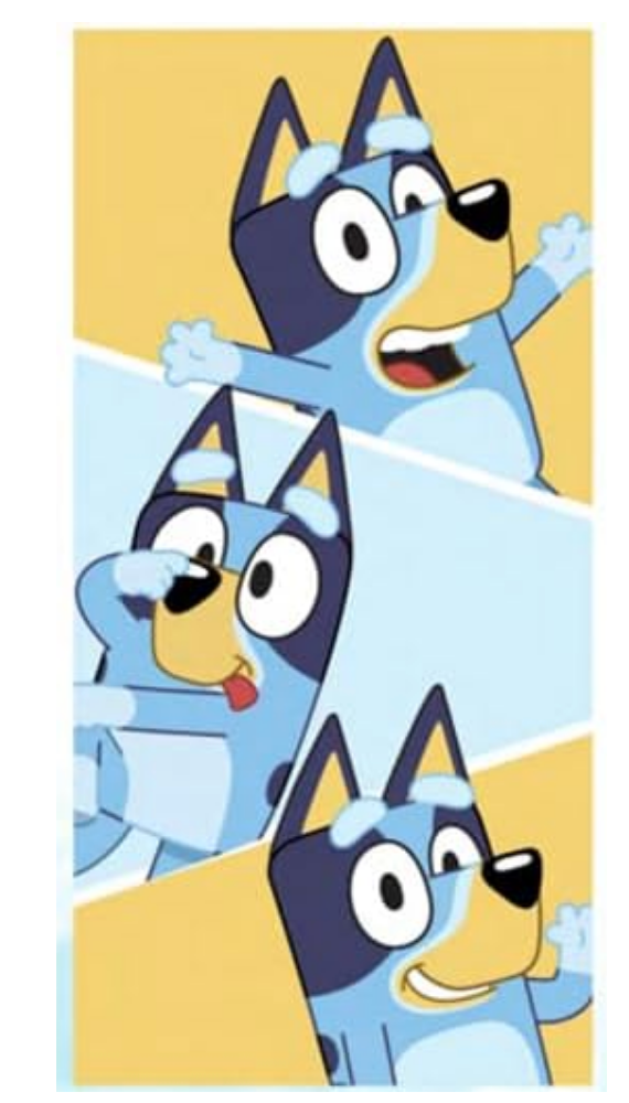 Bluey 27"x54" Polyester Microfiber Pool Bath Beach Towel