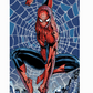 Beach Towel Comic Web" Spiderman 40"x72" Oversize Kids Towel