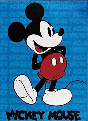 Mickey Mouse Raschel Plush Throw Blanket 40"x50" TT