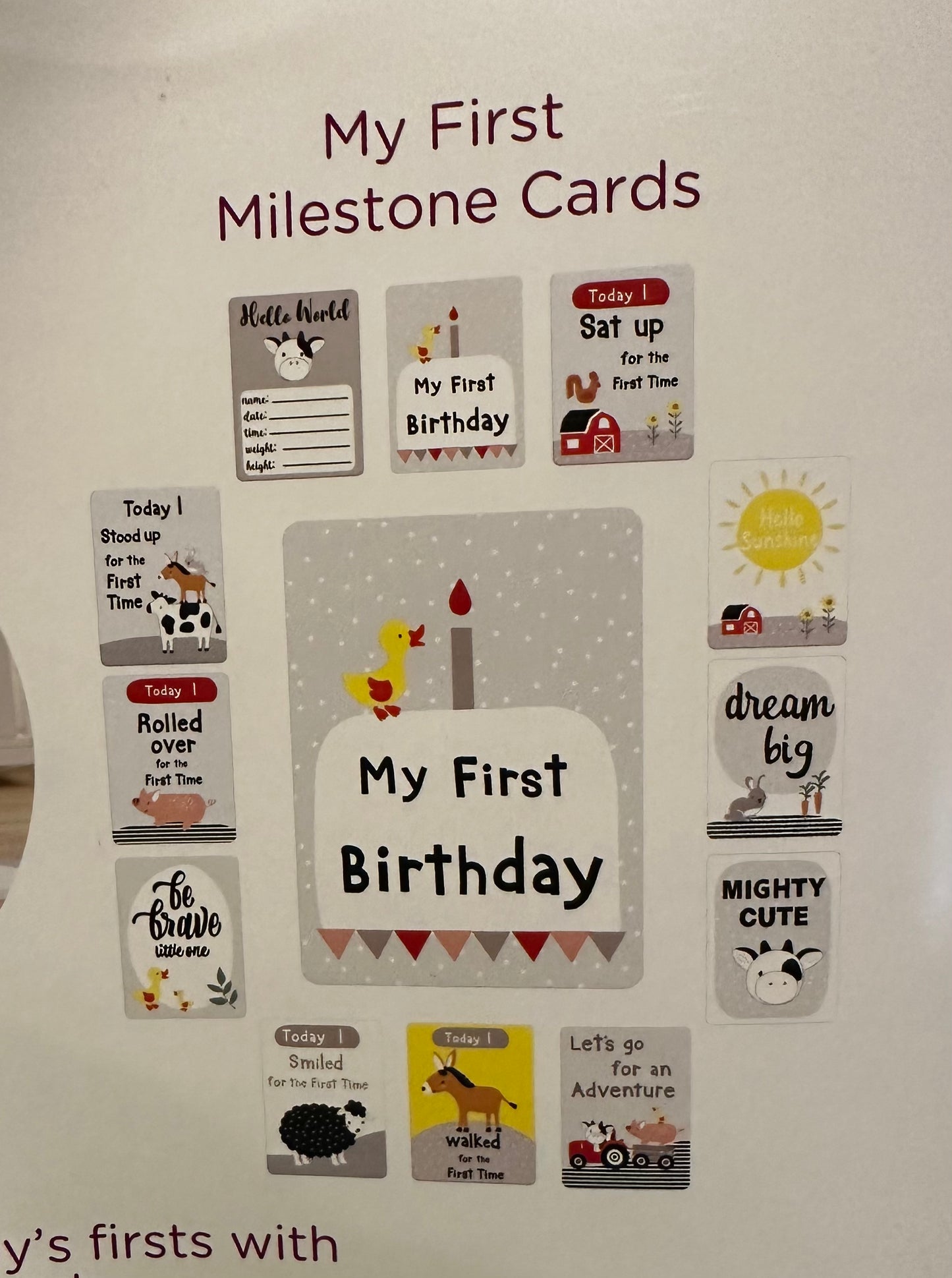 Farm Friends Baby Monthly Milestone Mat Blanket for Boy Girl Unisex, Gift for Baby Shower, Baby Photo Blanket for Newborn Picture 12 Cards Included, Soft Flannel Blanket 36"'